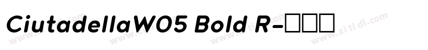 CiutadellaW05 Bold R字体转换